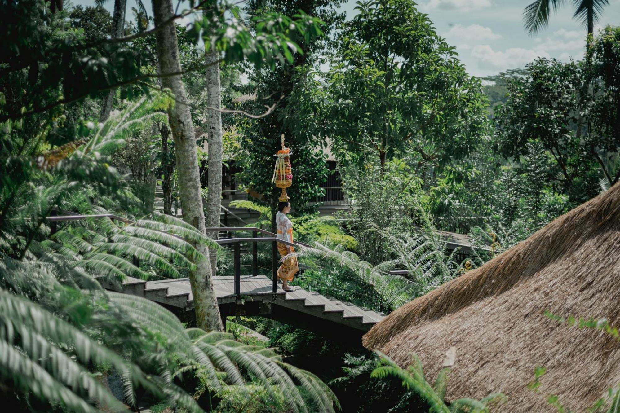 Hoshinoya Bali Hotel Ubud  Luaran gambar